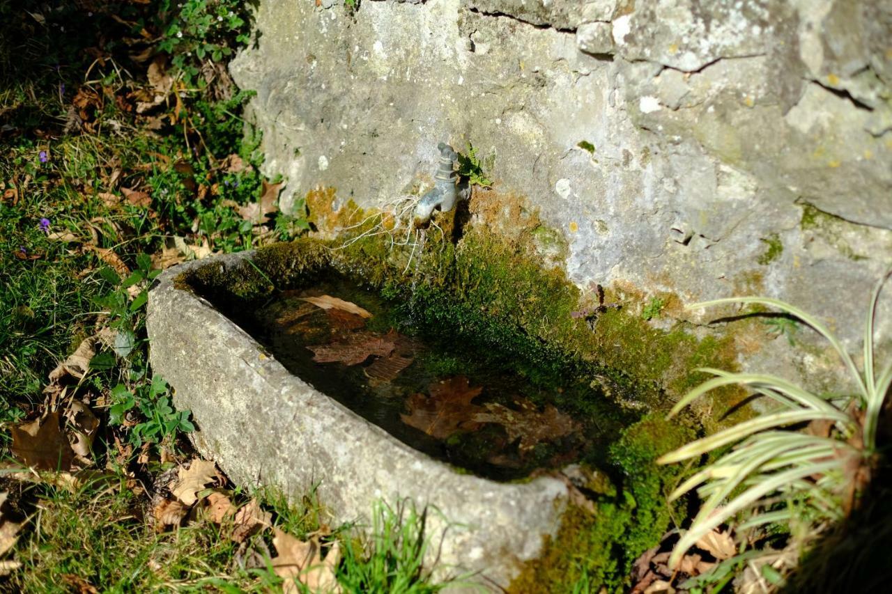 Villa Il Sorriso Bivigliano Esterno foto